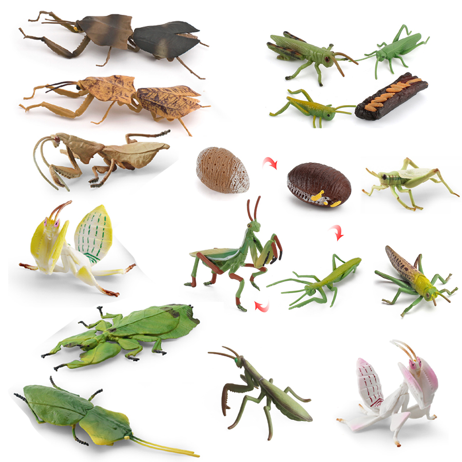 Interior Design House - Realistic Orchid Mantis Dead Leaf Mantis