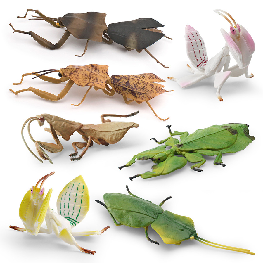 Realistic Orchid Mantis Dead L - đánh giá và giá Interior Design House