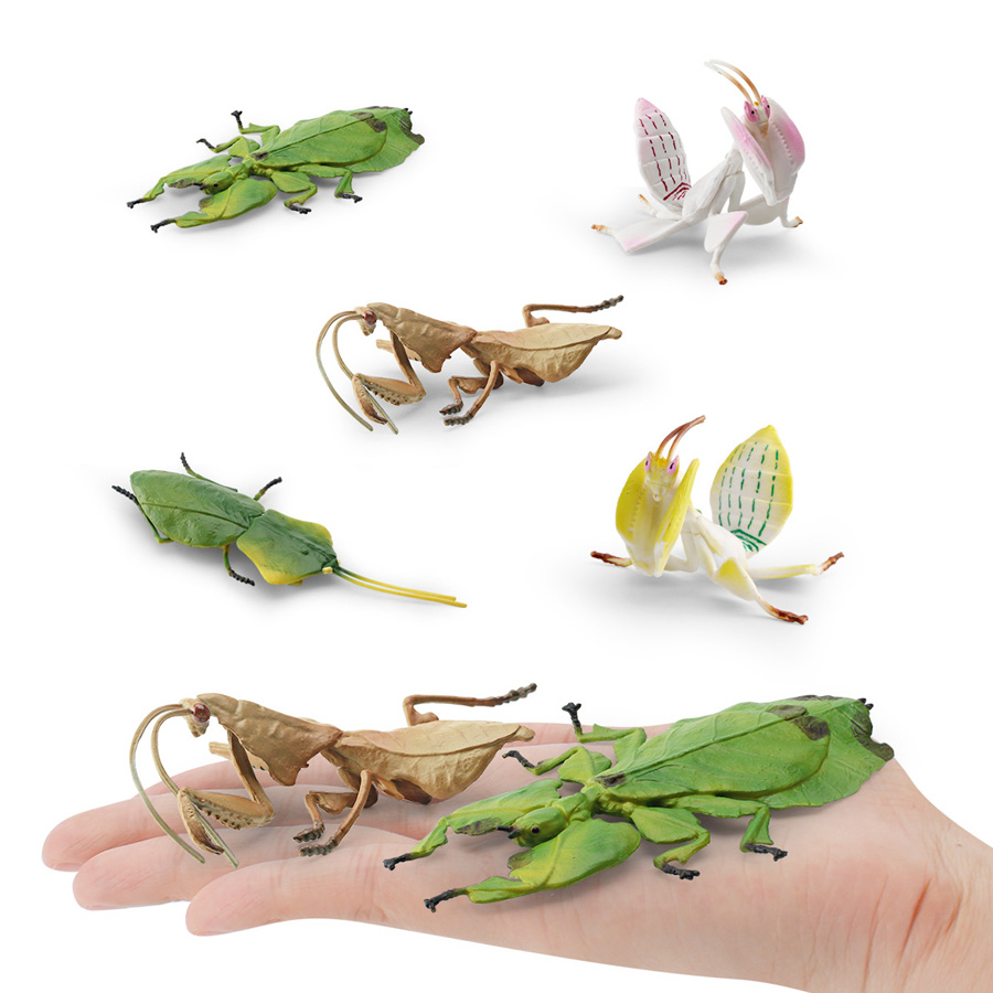 Realistic Orchid Mantis Dead L - đánh giá và giá Interior Design House